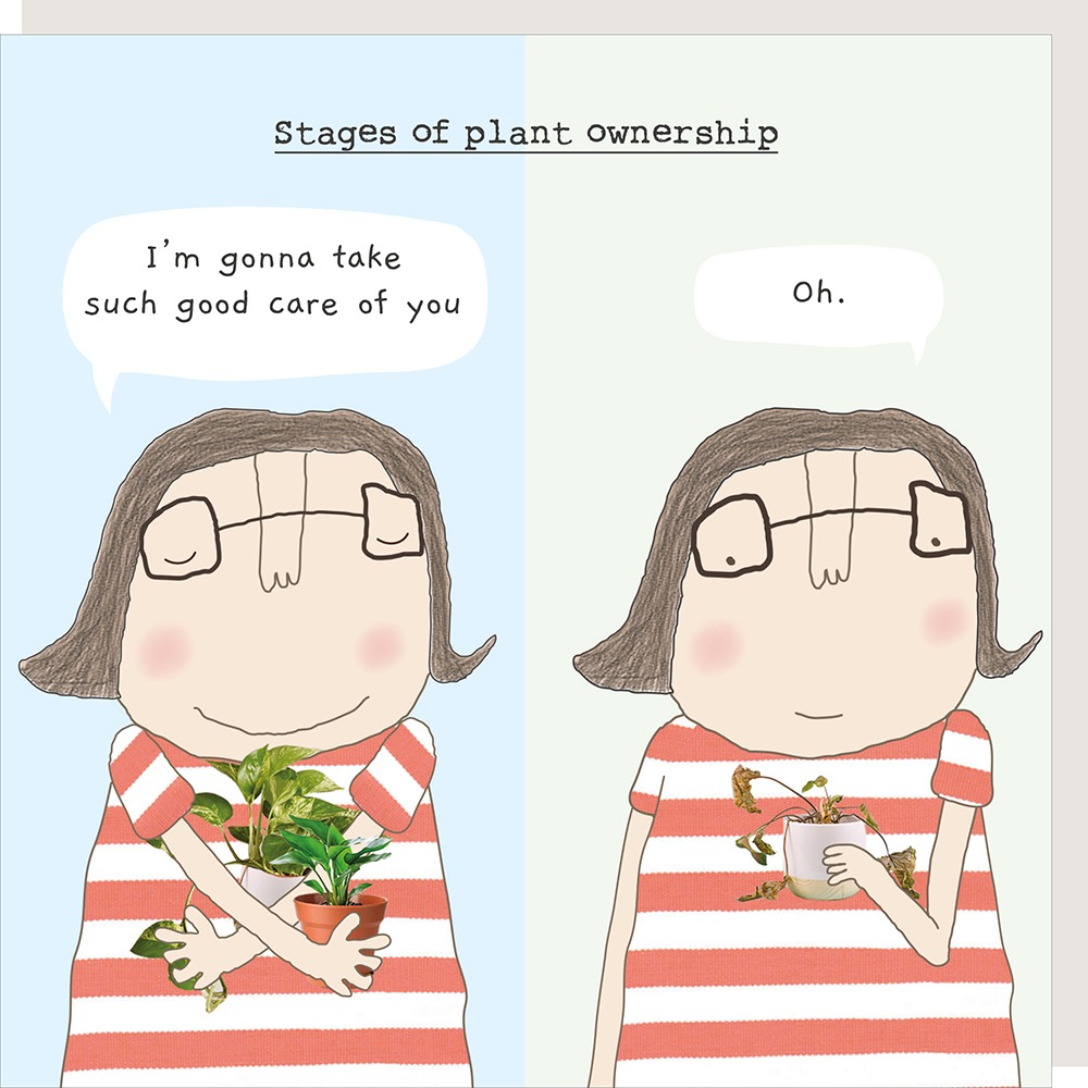 PLANT OWNERSHIP