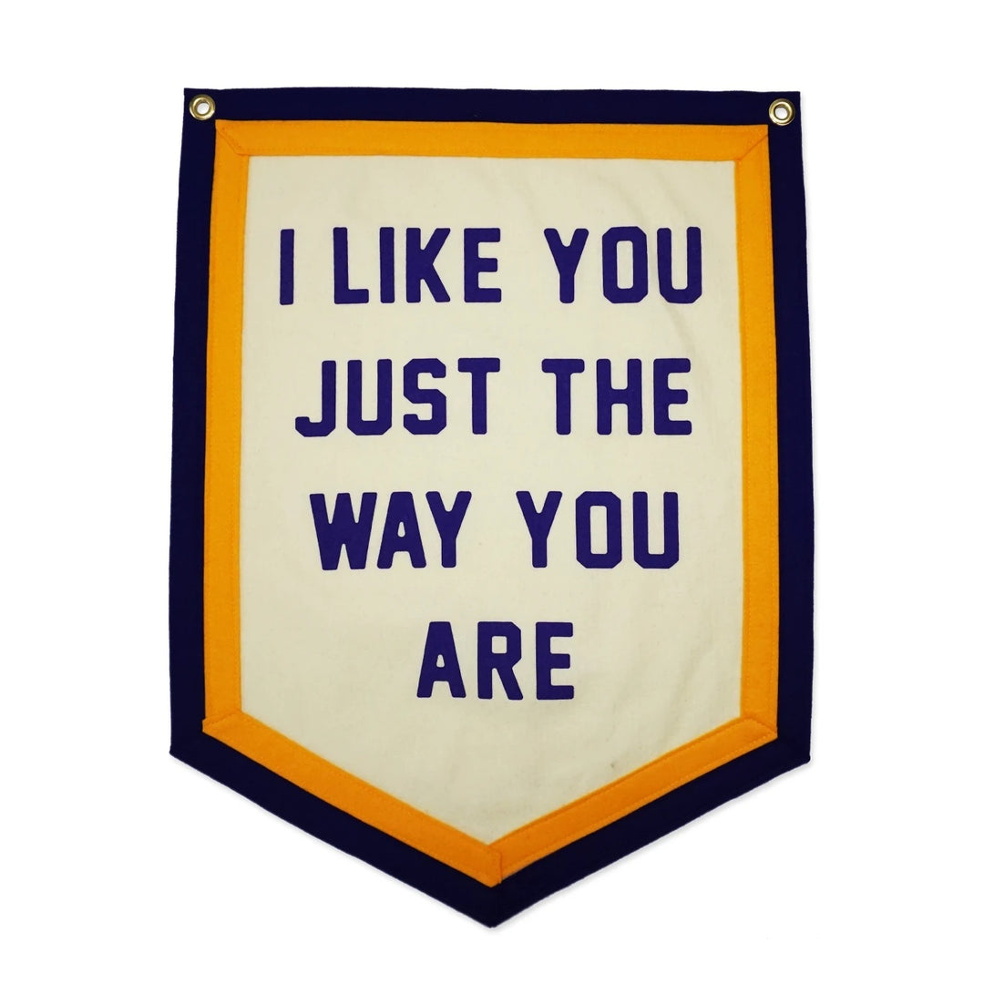 I LIKE YOU JUST THE WAY YOU ARE BANNER