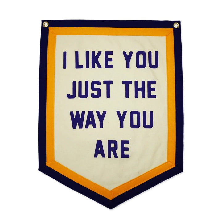 I LIKE YOU JUST THE WAY YOU ARE BANNER